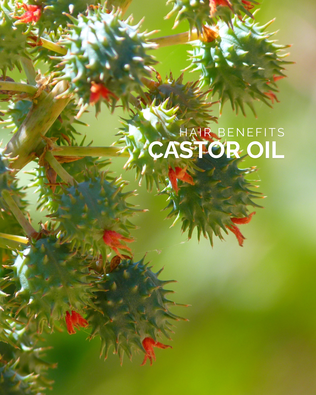 Castor Oil: Hair Benefits