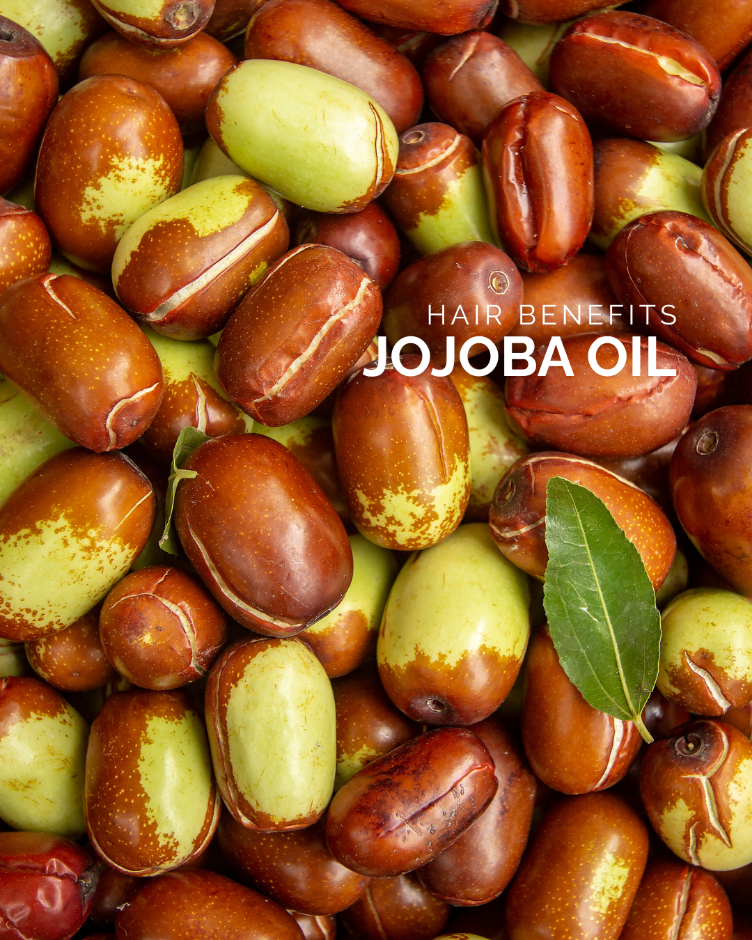 Jojoba Oil: Hair Benefits