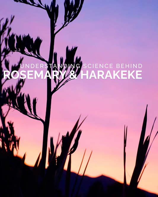 Nature's Answer to Hair Loss: The Science Behind Rosemary and Harakeke Oils