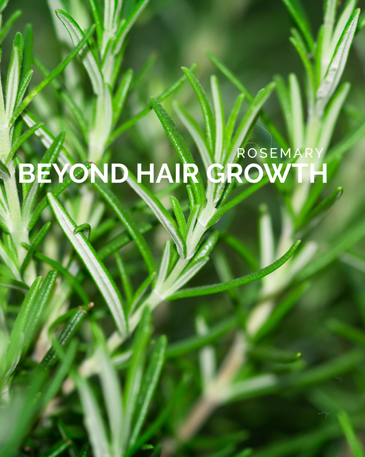 Rosemary Oil: Beyond Hair Growth