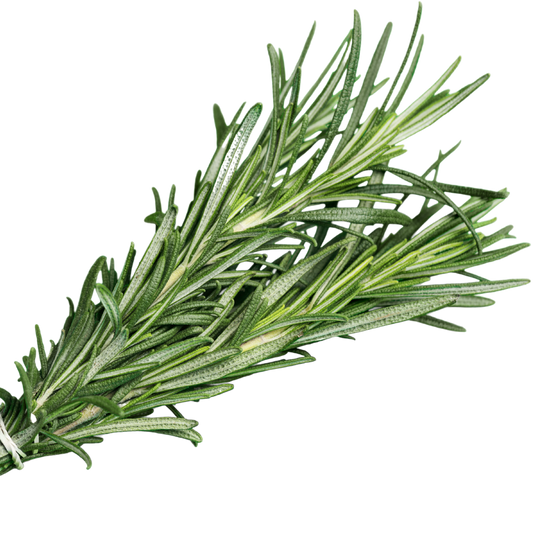 Rosemary Oil: Nature's Answer to Hair Loss