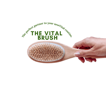 The Natural Wooden Brush
